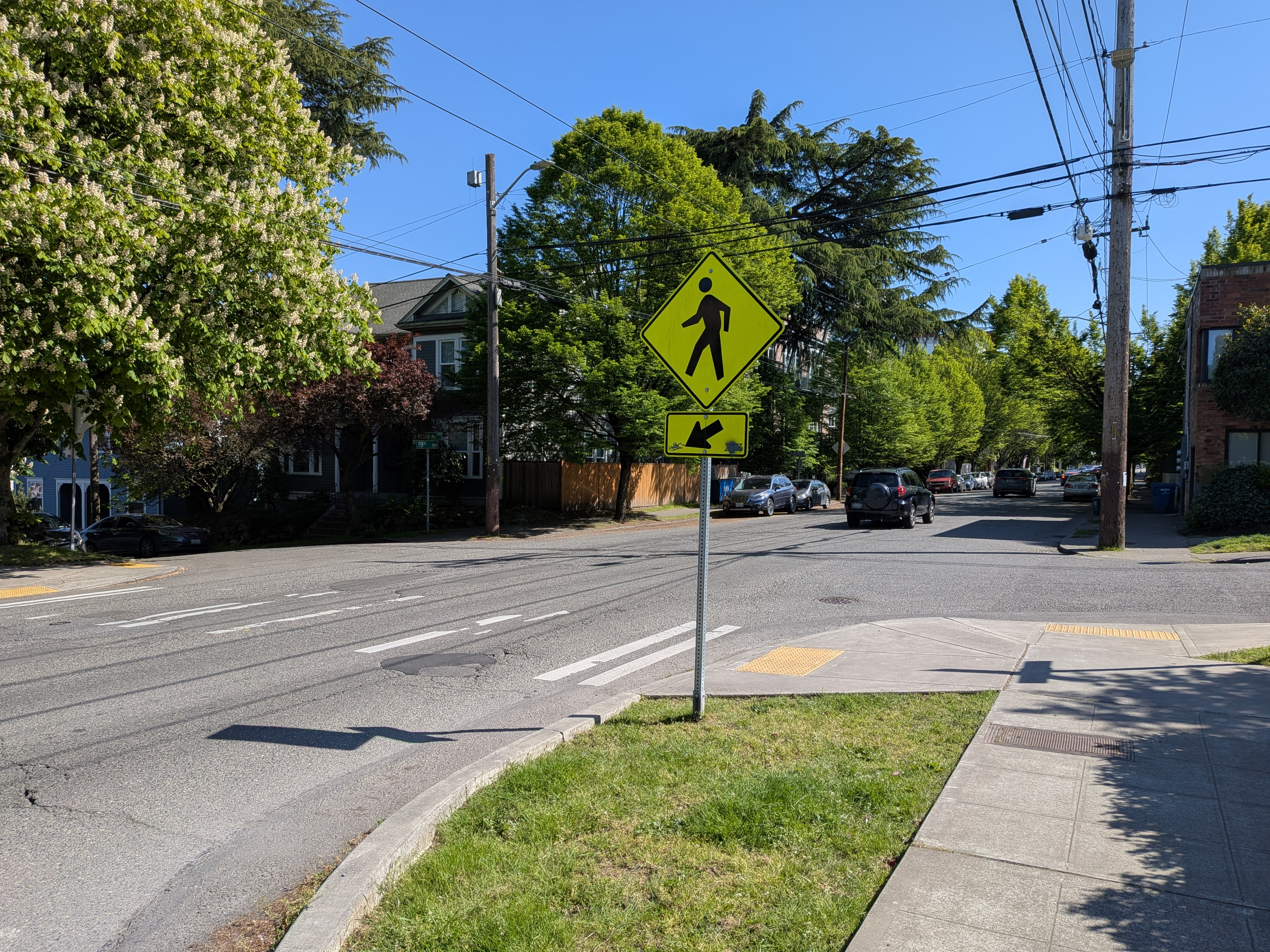A marked street crossing and pedestrian warning sign in Seattle.
