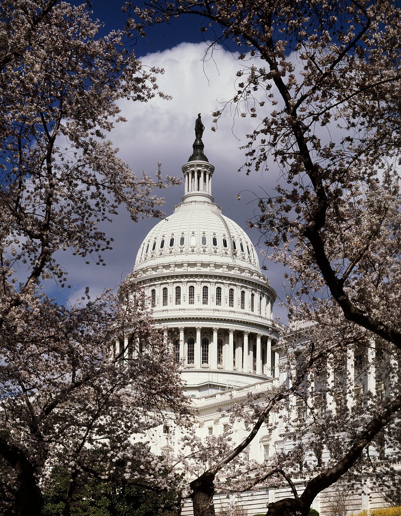 U.S. Capitol dome framed by trees.