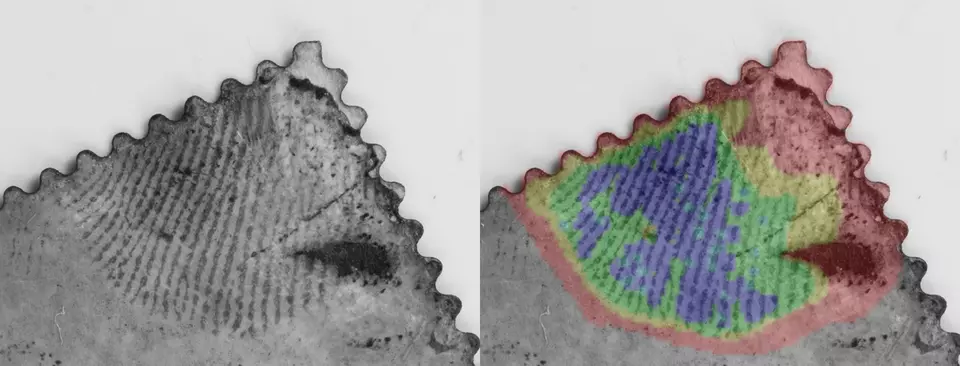 A fingerprint on a postage stamp shown in grayscale and with color-coded quality regions.
