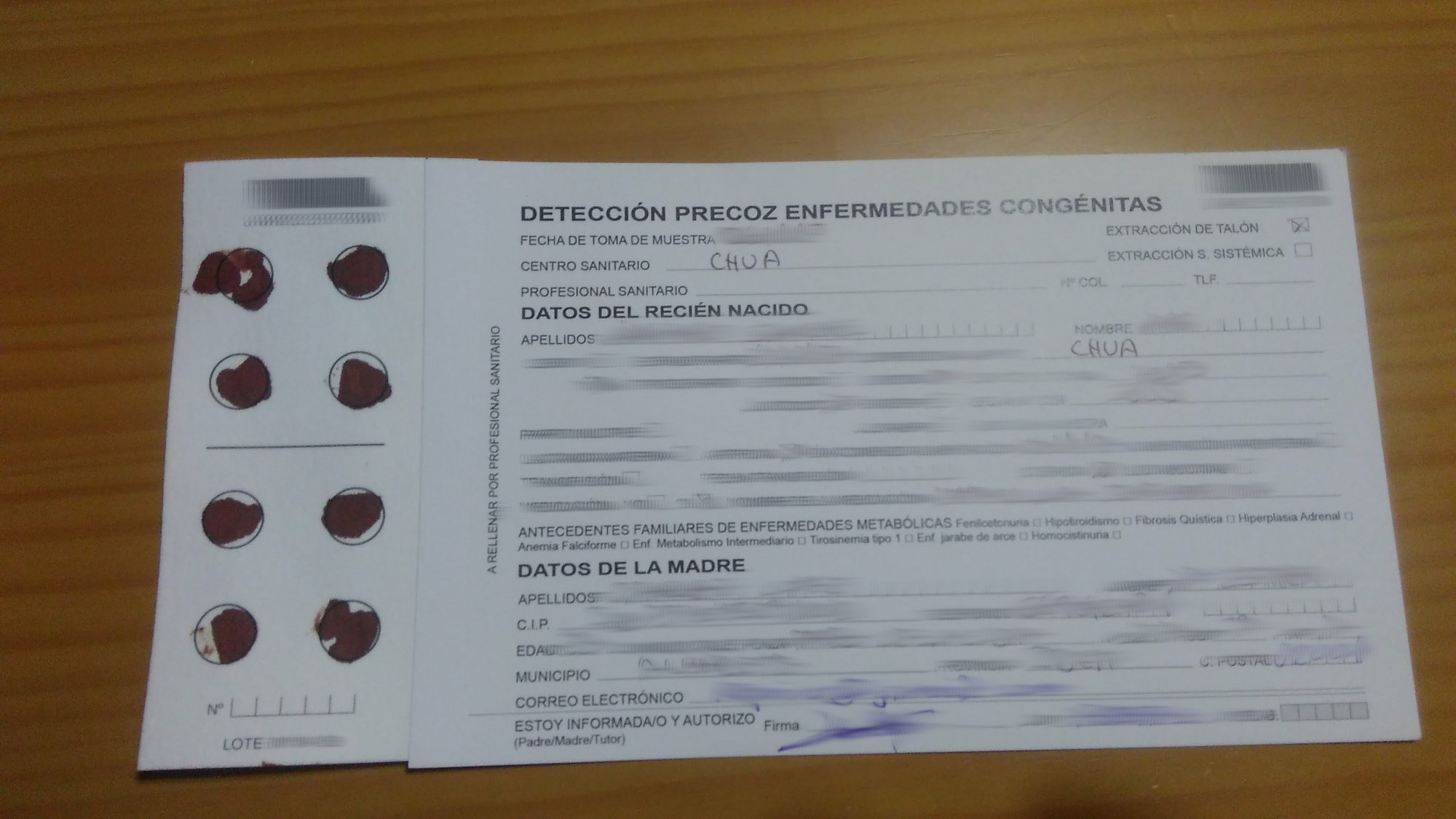 Blood spots on a newborn-screening sample card.