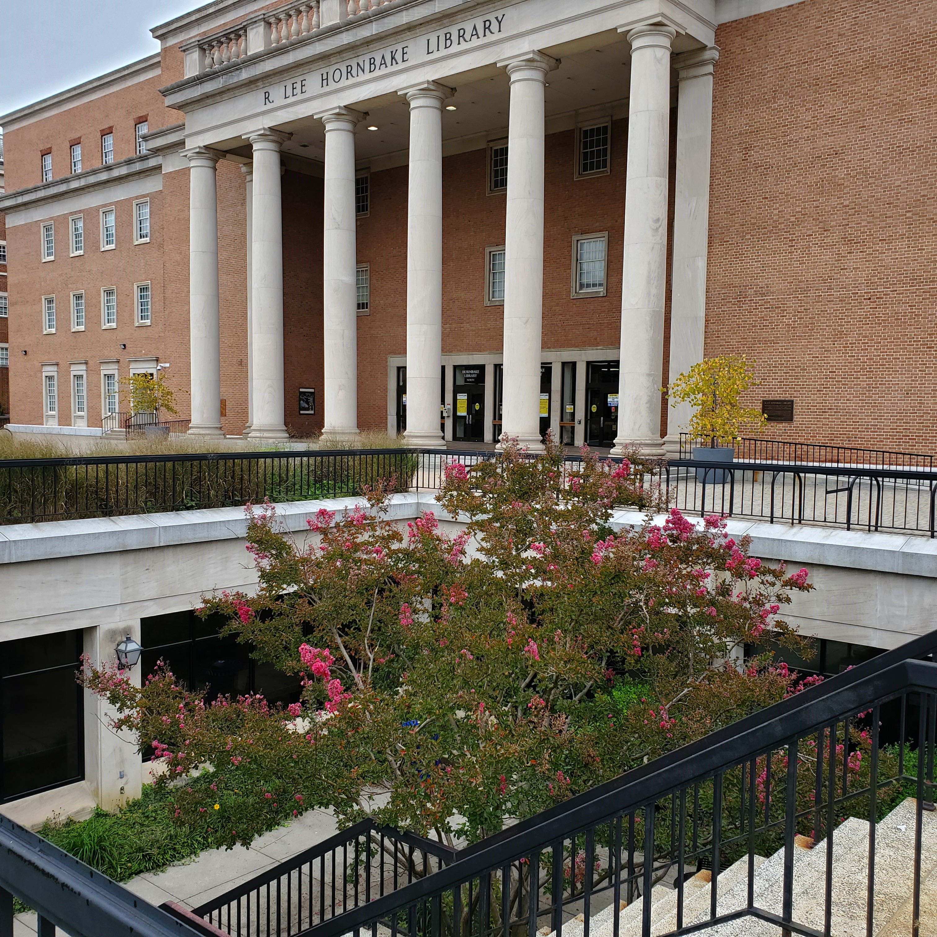 Columns above the Hornbake Library entrance, with brick walls and planting beds.