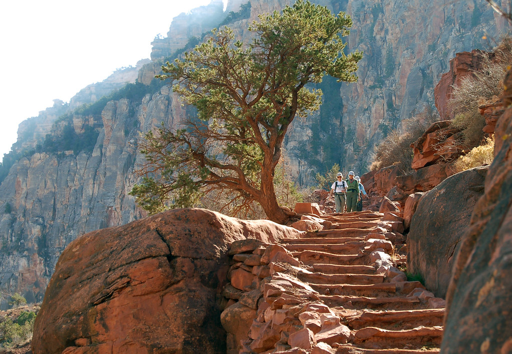Hikers on a stone-stepped trail.