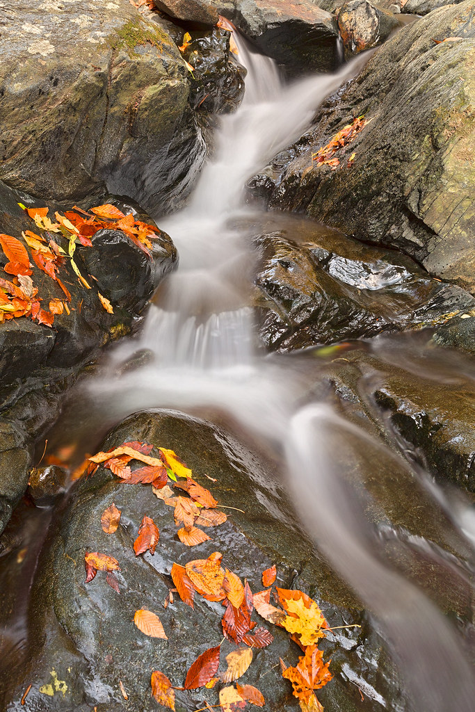 File photo: autumn leaves and water among rocks in Patapsco Valley State Park.