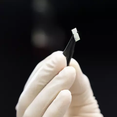 A gloved hand holds tweezers gripping a tiny rectangular photonic chip.
