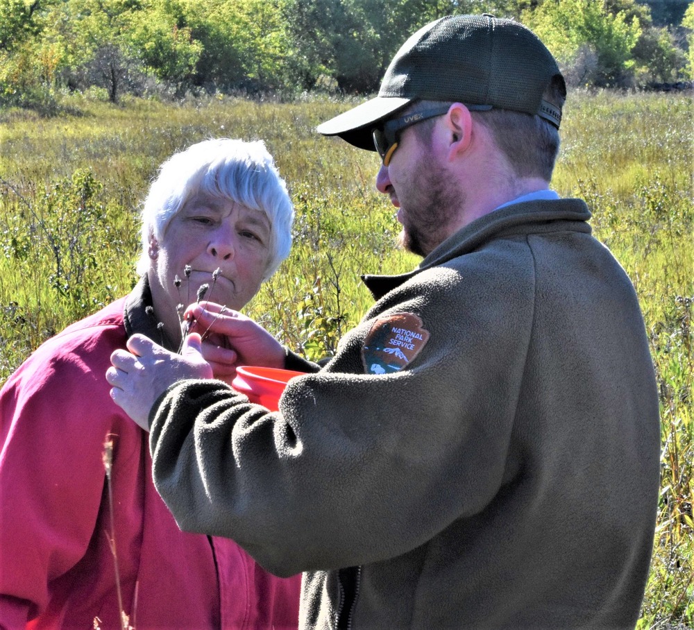 A ranger shows seed heads to a volunteer.