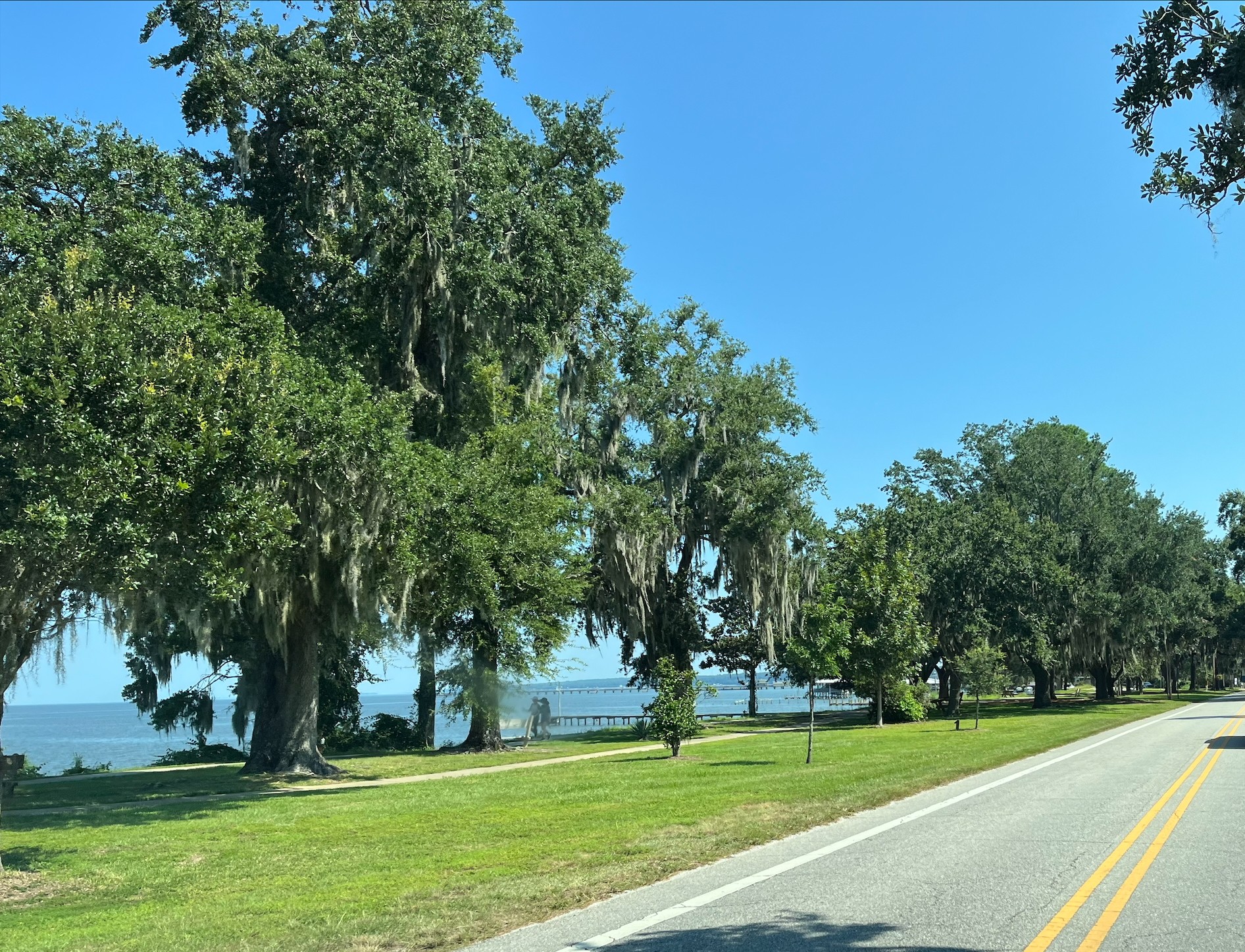Trees and a roadside park beside Mobile Bay.