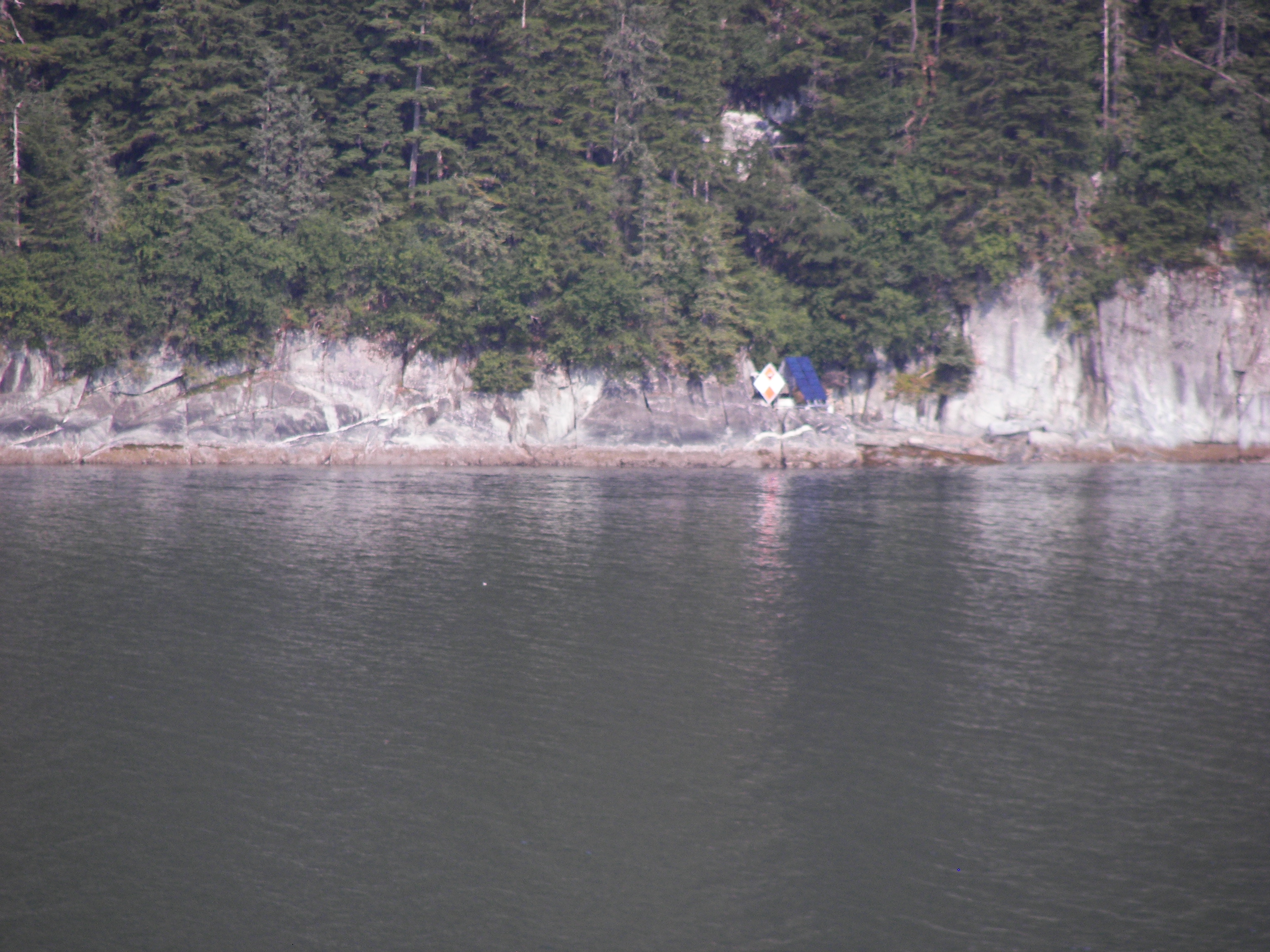 Rocky shoreline and forest above still fjord water.