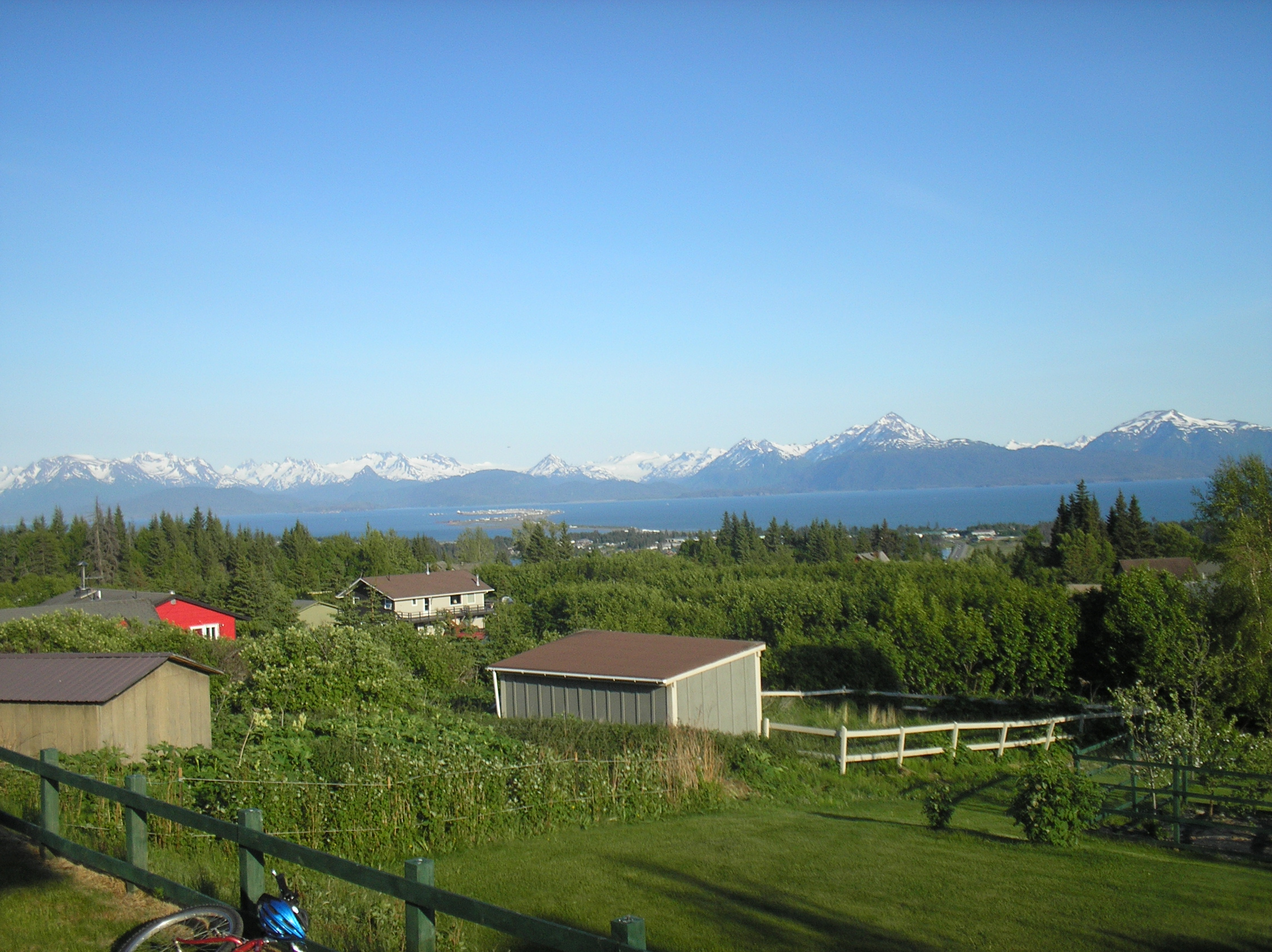Bay, forest and mountains viewed from Homer.
