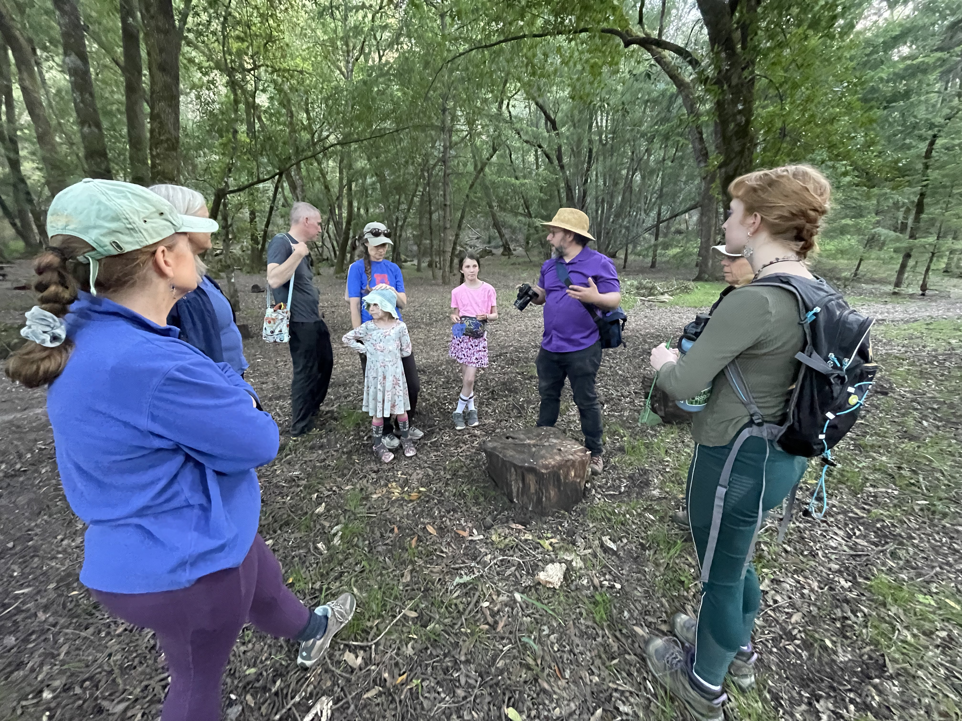 Participants at an outdoor nature-observation session.
